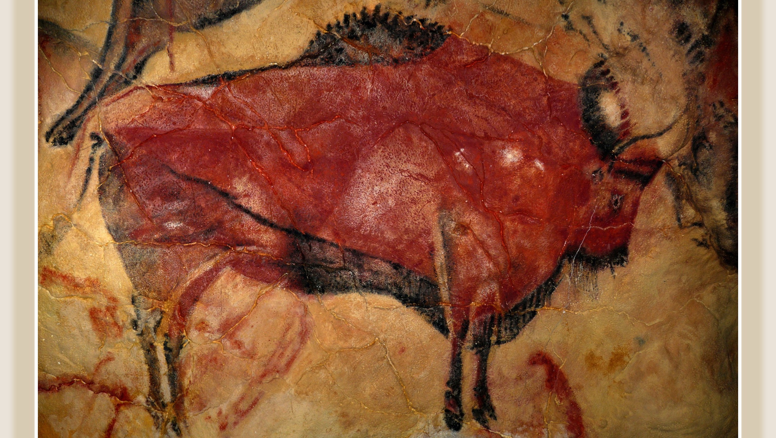 Altamiran bisoni Franco-Cantabrian refugiosta